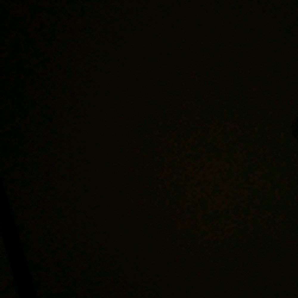 Meet your Posher, Michele